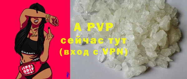 стафф Богородицк
