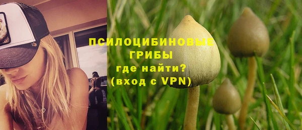 спайс Богданович