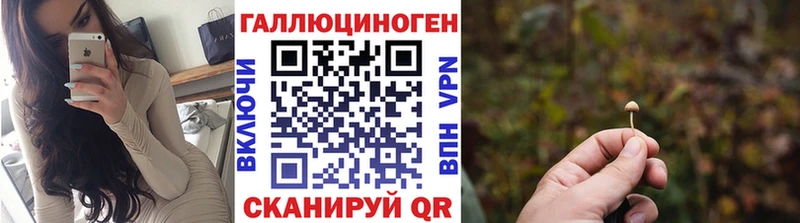 Галлюциногенные грибы Psilocybine cubensis Семикаракорск