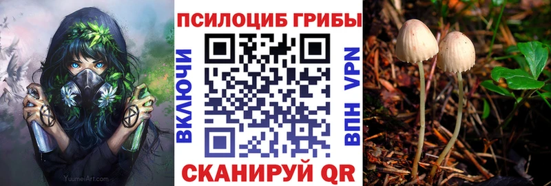 Псилоцибиновые грибы мицелий  Купить  Семикаракорск 